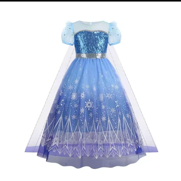 Blue Princess Costume Gown for Kids - Picture 1 of 6